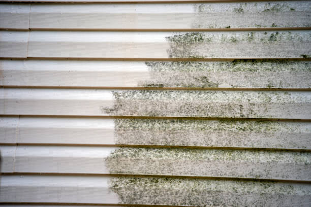 Best Storm Damage Siding Repair  in Mcewen, TN