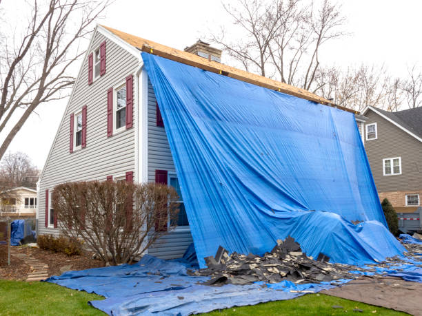 Best Historical Building Siding Restoration  in Mcewen, TN